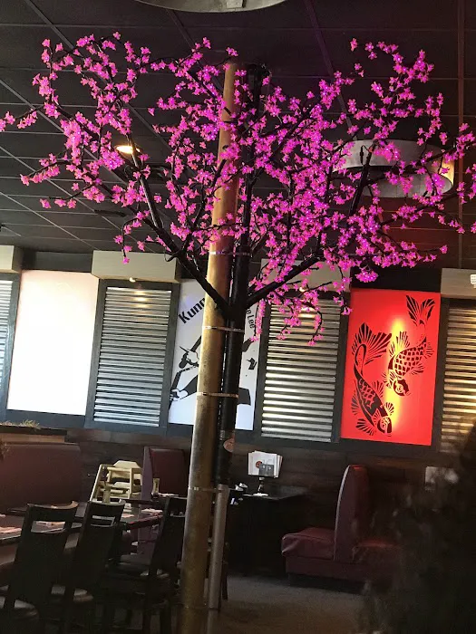 Volcano Sushi & Asian Bistro Picture 5