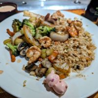 Geisha Japanese Steakhouse ico