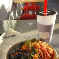 Domoishi ico