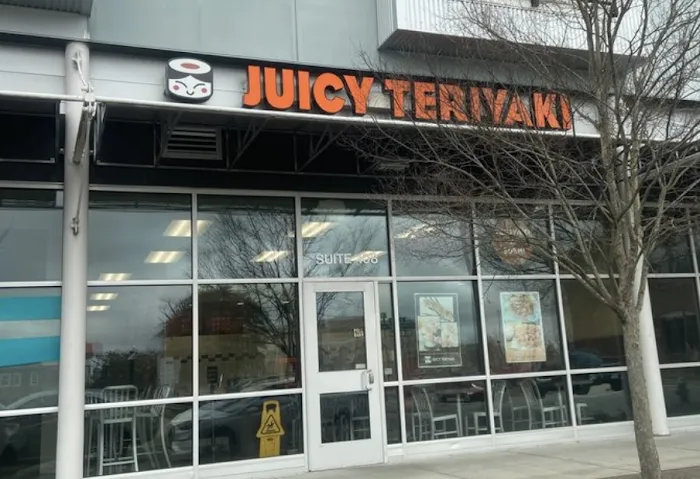Juicy Teriyaki Picture 4