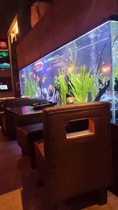 Sushi Hana Picture 1