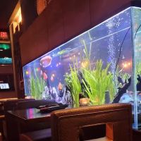 Sushi Hana ico