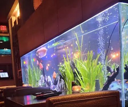 Sushi Hana