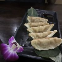 Volcano Sushi Bar & Hibachi ico