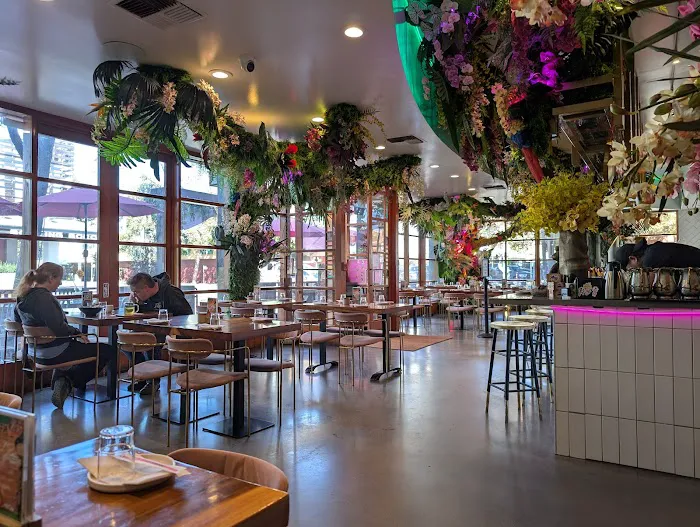 NōKA Ramen & Bar Picture 7