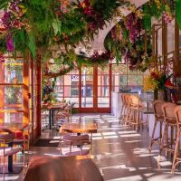 NōKA Ramen & Bar ico