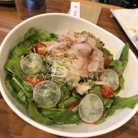 IPPUDO Berkeley ico
