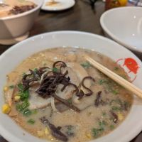 MISO KO ico