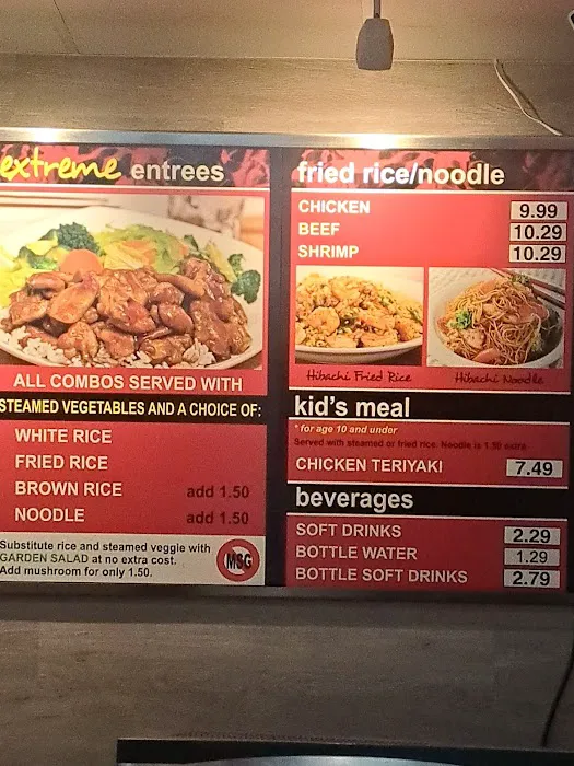 Extreme Teriyaki Grill Express Picture 7