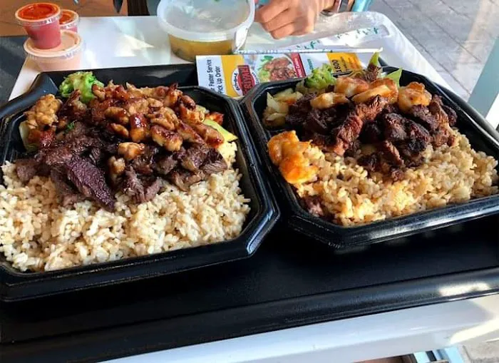 Extreme Teriyaki Grill Express Picture 1
