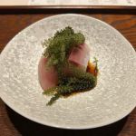 Hayakawa