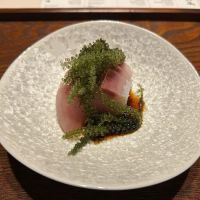 Hayakawa ico