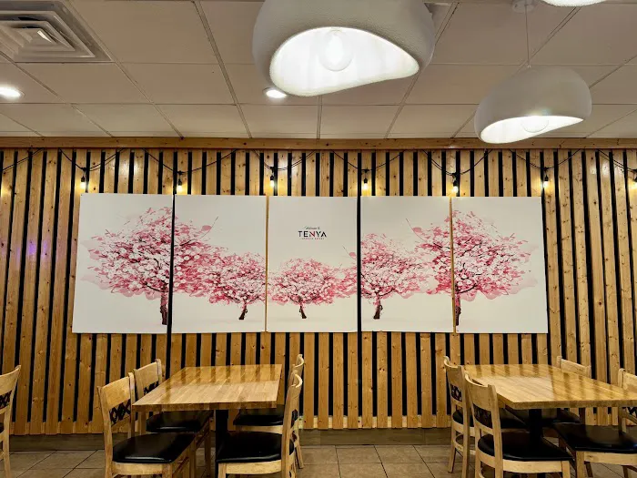 Tenya Japanese Eatery Picture 7