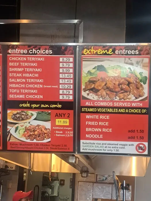 Extreme Teriyaki Grill Express Picture 8