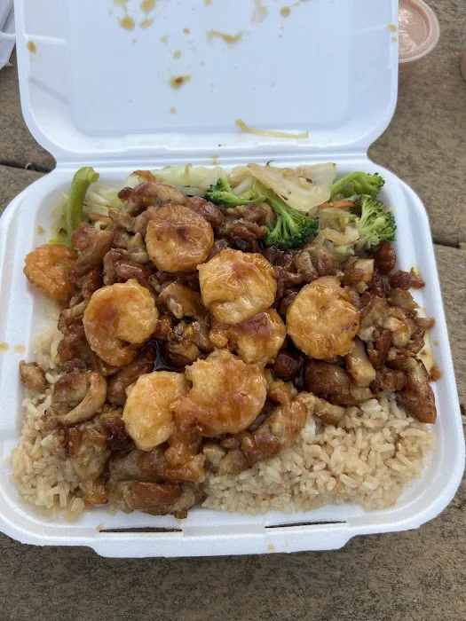 Extreme Teriyaki Grill Express Picture 6