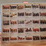 Happy Sumo Sushi and Steak House