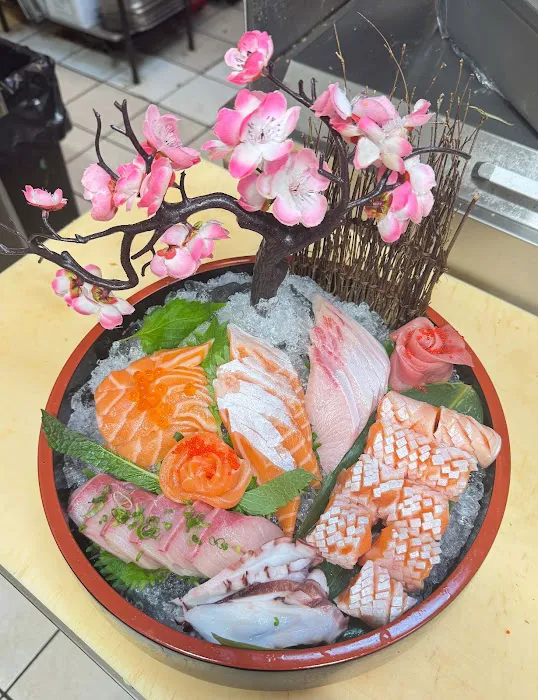Sushi Payce Picture 10