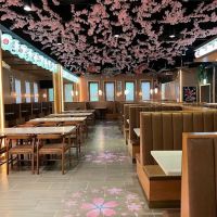 Sushi Kingdom Dunwoody ico