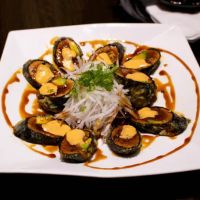 Zoku Sushi ico