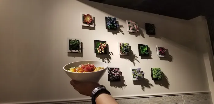 Poke Burrito North Center Picture 9