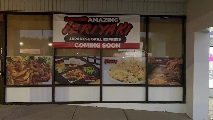 Amazing Teriyaki Japanese Grill Express Picture 4