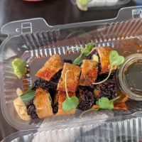 Kraken Sushi & Beyond ico