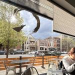 Q Sushi Bar & Omakase