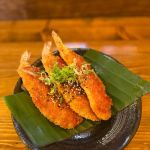 Takibi