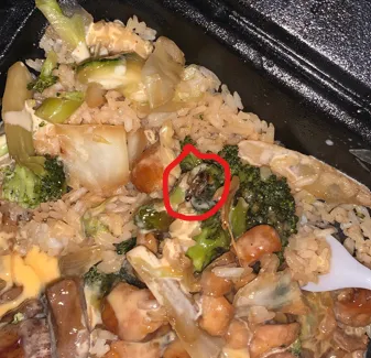 Hibachi Express Picture 5