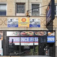 Lawrence Fish Market ico