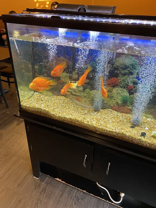 Soho Hibachi Calhoun Picture 1