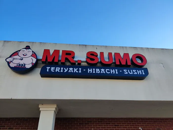 Mr. Sumo Picture 3