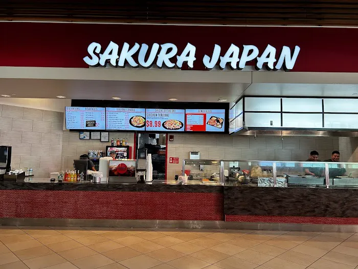 Sakura Japan Picture 3