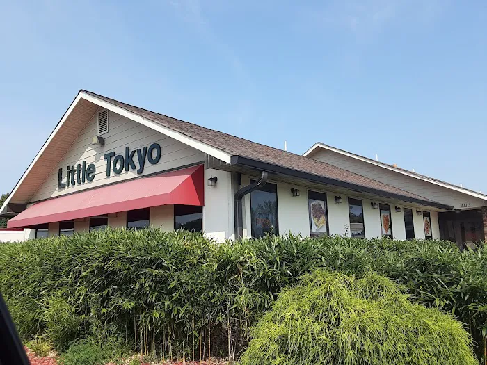Little Tokyo Restaurant Picture 8