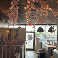 Shiroi Sushi 한국횟집 ico