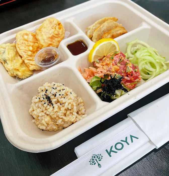 Koya in Wilmette Picture 10