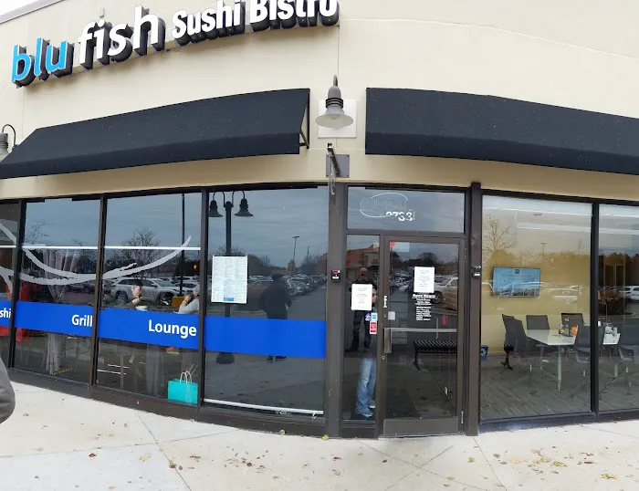 Blufish Picture 7