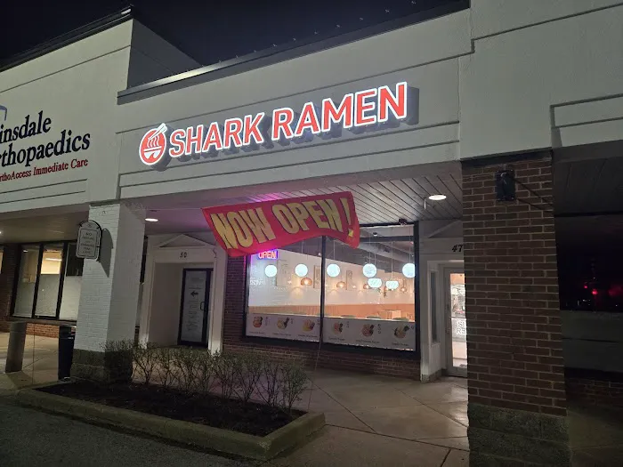 Shark Ramen Picture 3