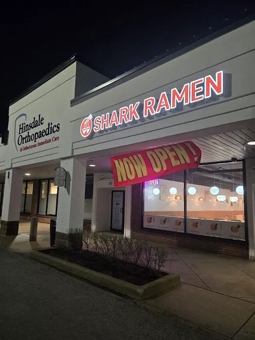 Shark Ramen Picture 7