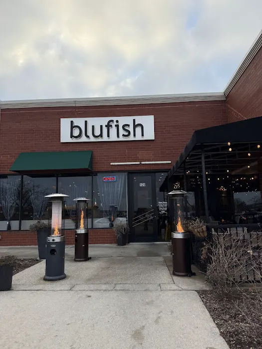Blufish Picture 1