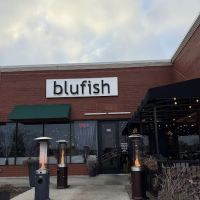Blufish ico