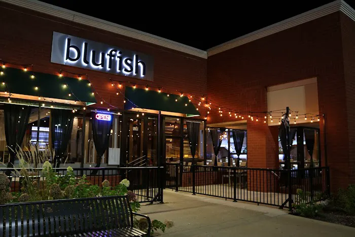 Blufish Picture 7