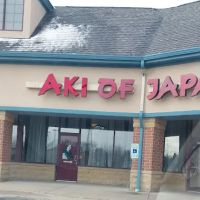 Aki Of Japan ico