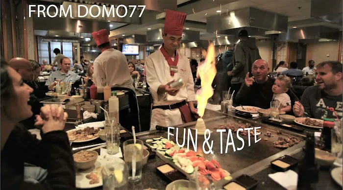 Domo 77 Picture 7