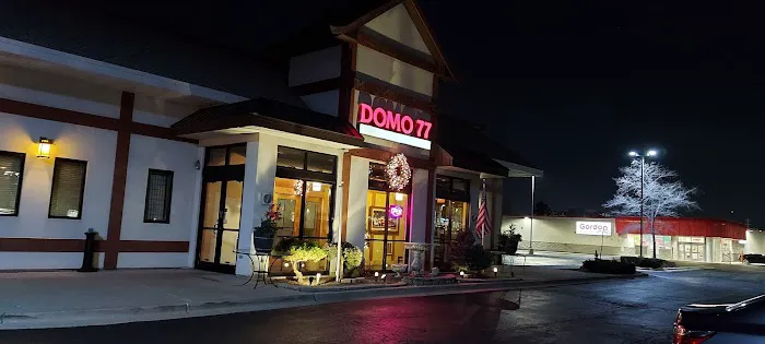 Domo 77 Picture 2