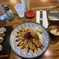 Ohsio Sushi ico