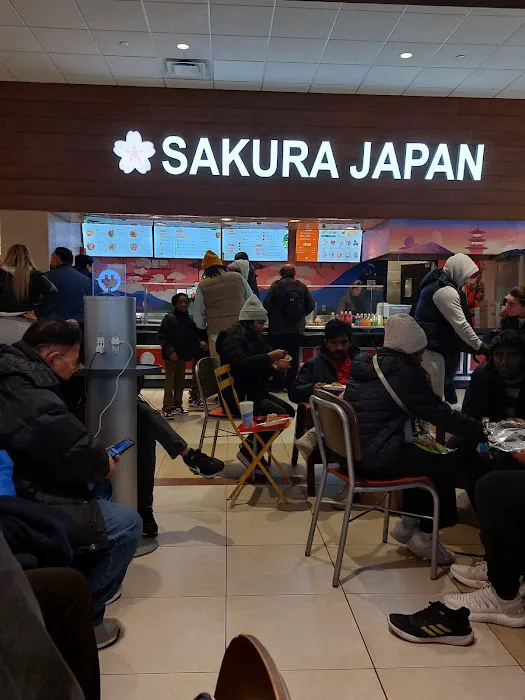 Sakura Japan Picture 3