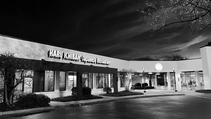 Haru Ichiban Japanese Restaurant Picture 3