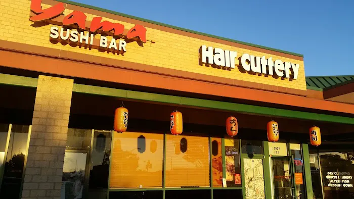 Yama Sushi Bar Picture 3