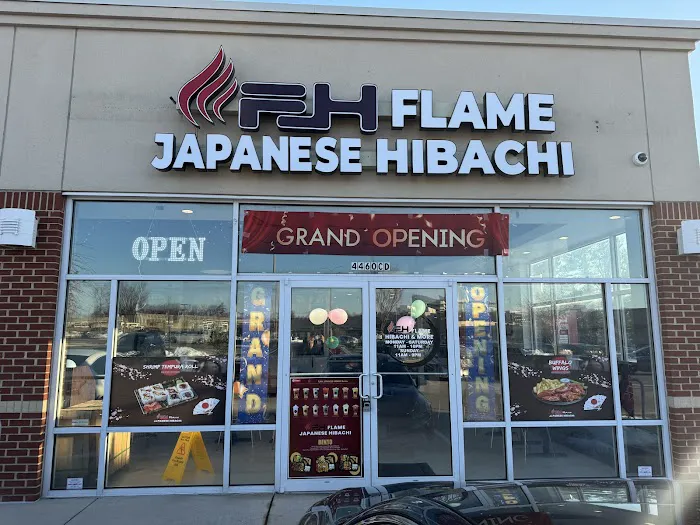 Flame Japanese Hibachi Picture 6